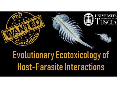 Evolutionary Ecotoxicology of Host-Parasite Interactions